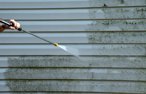 Best Mold Remediation Experts  in Arche, OK
