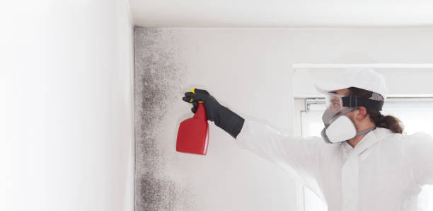 Best Crawl Space Mold Removal  in Arche, OK
